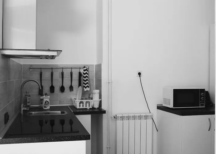 Cismigiu Apartman Bukarest